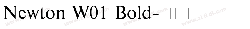 Newton W01 Bold字体转换